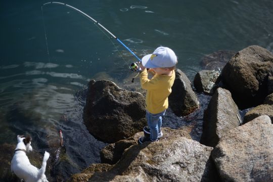 Les enrochements regorges de poissons de roche!