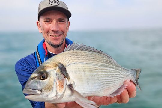 Une daurade royale prise à Dieppe