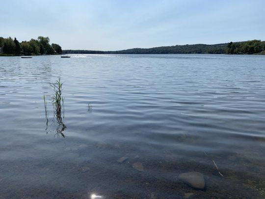 Les lacs du sud du Québec abritent des black-bass.