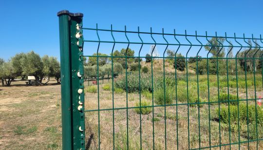 Ramasser des limaçons pour pêcher