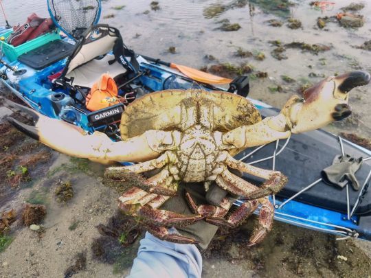 Pêche à pied, de nouveaux espaces avec un kayak