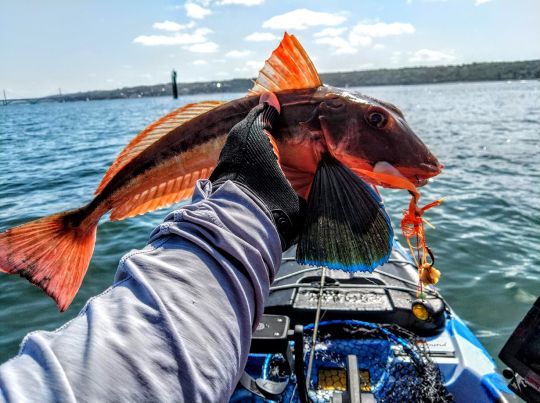 Différentes techniques de pêche en kayak