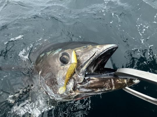 Kerhy, c'est aussi une gamme pour pêcher le thon