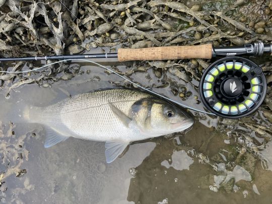 Les actions de pêche autour des tables sont toujours très intense. Un régal! 