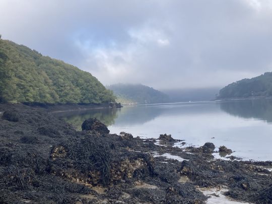 Retour sur ce très bel estuaire finistérien mais au profil particulier