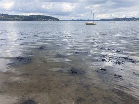 Trouvez les zones de pêche intéressantes fait partie de la pêche du bar à vue et demande du temps