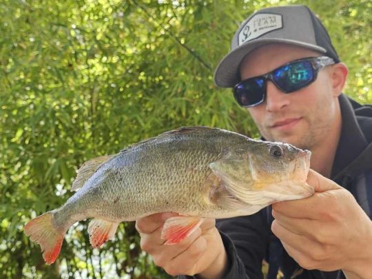 Antoine Leggeri avec une belle perche du canal du midi