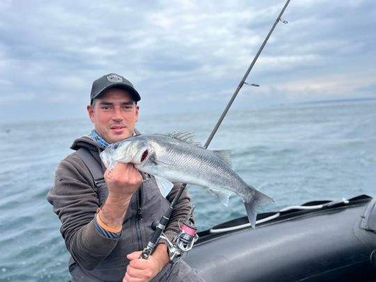 Prise de vue sans aucune attention sur la présentation du poisson