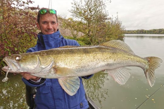 Le shad Live Target blanc est coffré !