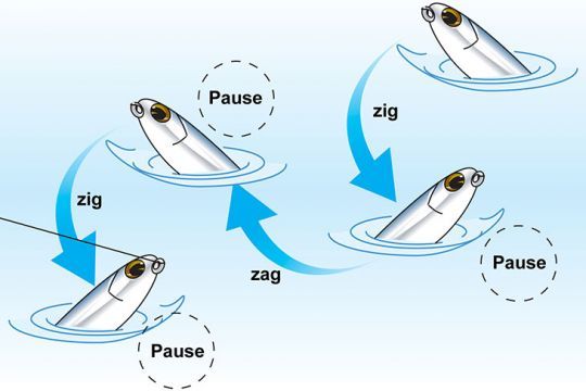 L'animation en zig-zag d'un stickbait