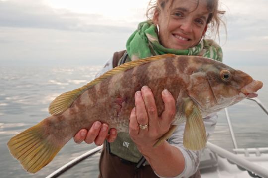 A la touche, il faut ferrer et brider pour mettre au sec ce poisson de roche