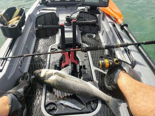 Se rendre la pêche plus facile