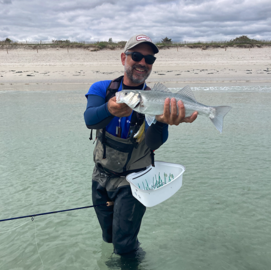 Un joli bar capturé sur une plage de sable fin où avec la présence de sternes en chasse nous a permis de trouver les poissons