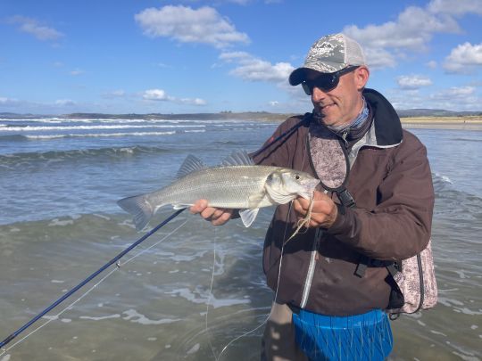 Un joli bar pris en plage. Le panier de lancer est indispensable pour la pêche à pieds