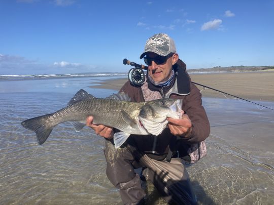 La pêche à vue permet parfois de tomber sur de très jolis bars en maraude dans peu d'eau. Prendre un si beau poisson à vue est toujours un moment unique dans une saison de pêche!