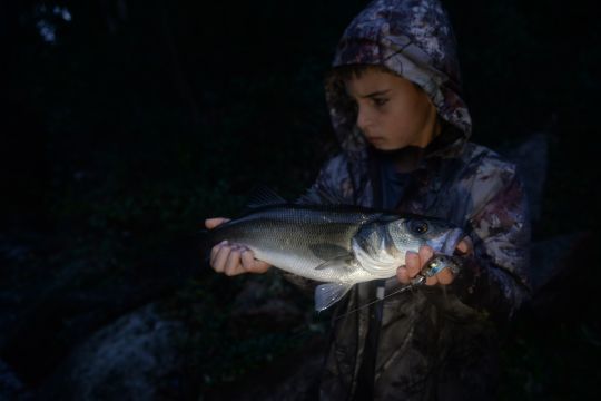 Les soirs d'automne et d'hiver sont très propices à la traque du loup en Corse