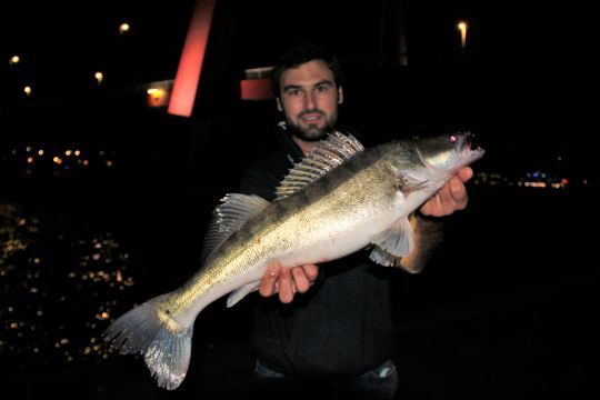 Plusieurs coups du soir sur des postes marqués permettent de sortir de beaux poissons