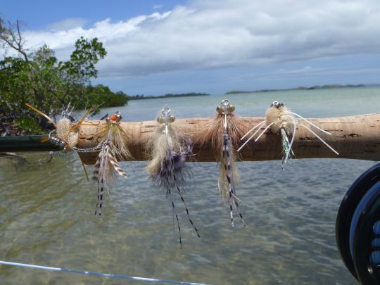 Les imitations de crabes et crevettes sont très efficaces pour la pêche du bonefish