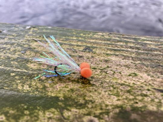 Le sparkler booby qui me permettra de toucher plusieurs fois lors de cette journée compliquée