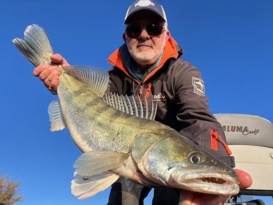 Passionné de pêche aux carnassiers