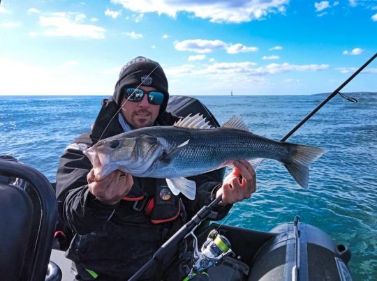 Un joli bar pris à gratter au Black Minnow 140 monté sur une tête de 40 grammes.