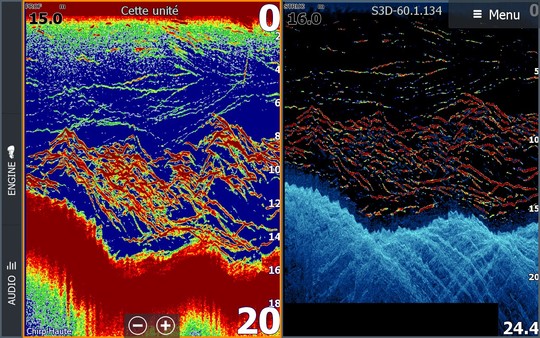 Un banc de bar très actif vu sur un sondeur Lowrance