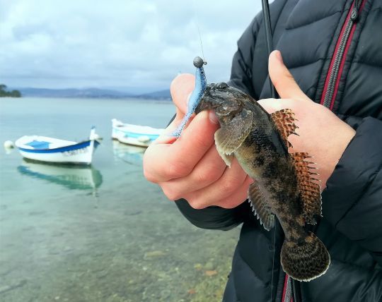 Prendre du poisson et du plaisir