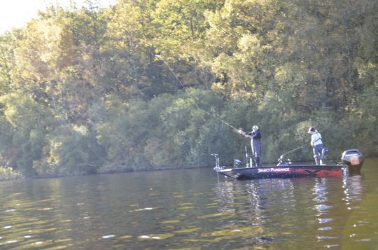 De jolis poissons à débusquer