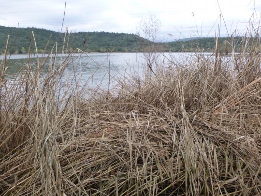 Un lac artificiel de 450 hectares