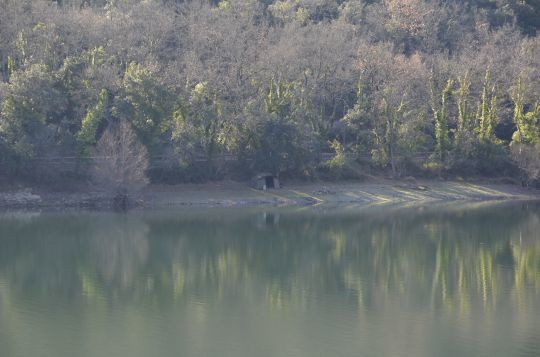 Pêcher la carpe sur le lac de Carcès