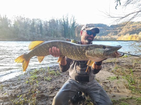 Superbe brochet de 103 cm pris par Matthais qui connait la Dordogne comme sa poche! 