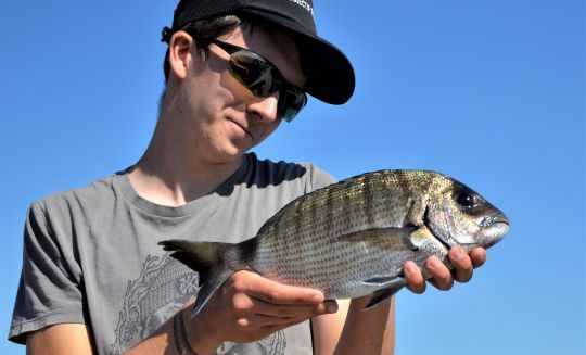 Pêcher les sars dans l'écume