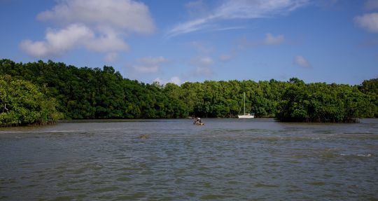 Pêcher au cœur de la jungle