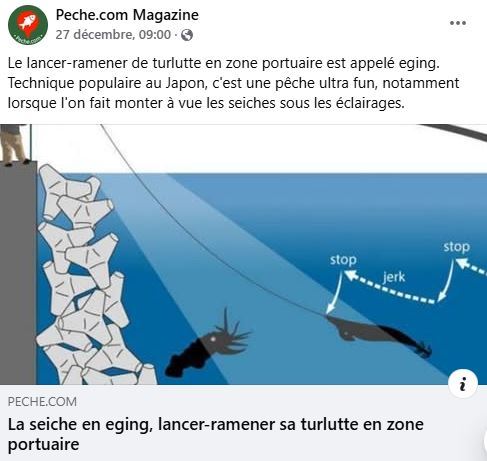 L'influence des réseaux sociaux sur la pêche