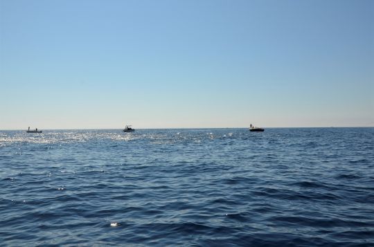 Une concurrence réelle entre pêcheurs