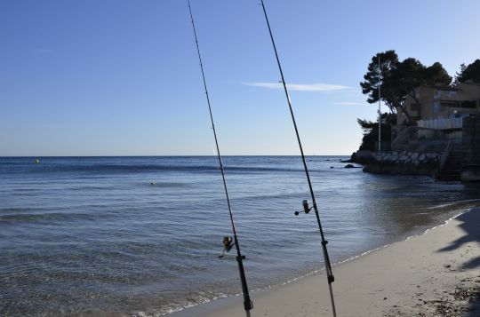 Chercher la dorade en surfcasting