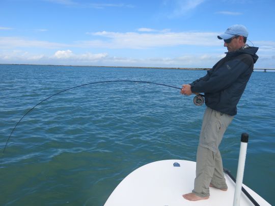 Les tarpons sont des poissons très puissants et demande un matériel adapté! Ici l'auteur au combat d'un poisson de plus de 20 kg