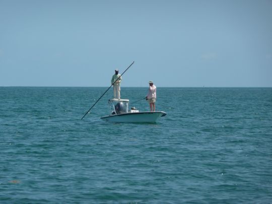 Au tarpon, il faut se poster sur des zones de passage dans l'attente d'un banc, comme ici en Floride pendant la migration