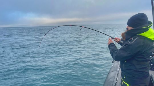 Pêche de la dorade avec la canne Rodhouse NFC SJ 706 IM