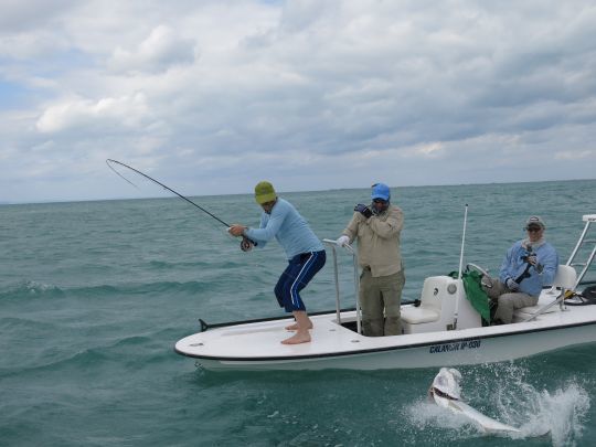 La combativité et les sauts du tarpon font de cette pêche une vraie addiction!