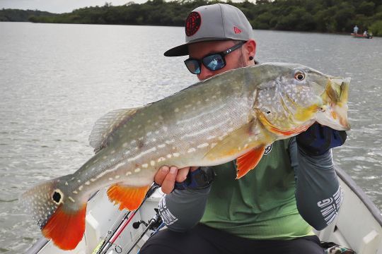 Le Kosuke est efficace pour pêcher le peacock bass.