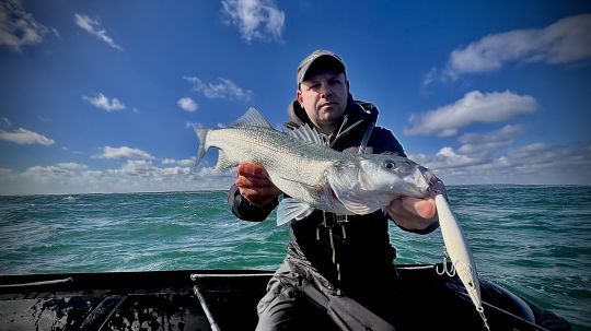 L'Asturie 150mm en coloris blanc sort clairement du lot pour décider les jolis poissons sur des chasse aussi denses.