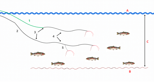 Voici deux montages pour la pêche au worm mais les options sont variées