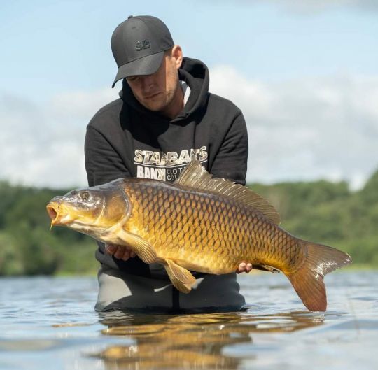 Débuter efficacement la pêche de la carpe