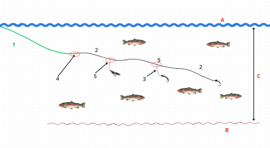 Montage pour la pêche au chiro entre deux eaux