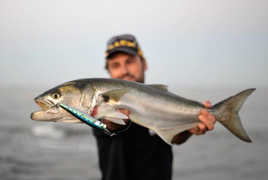 Les riserbait d'Illex et leurre bavette métallique se lancent extrêmement loin