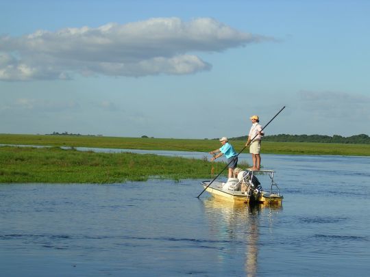 Pêche du dorado dans l'Estero del Ibera, un immense marais unique en son genre