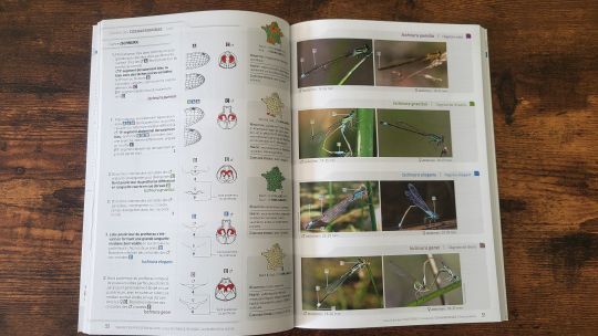 104 espèces et sous-espèces identifiables