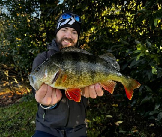 Fish and shop, des pêcheurs à votre écoute