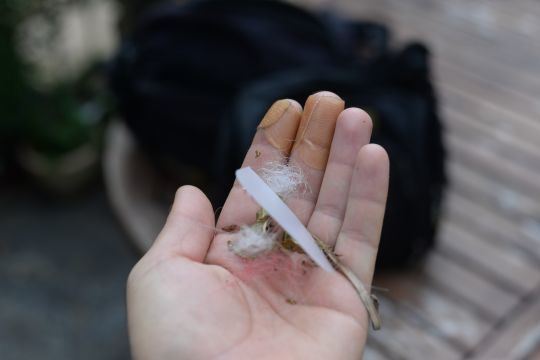 Quelques déchets accumulés à ne pas jeter dans la nature!